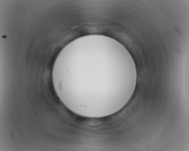 X0000114240327200910231529