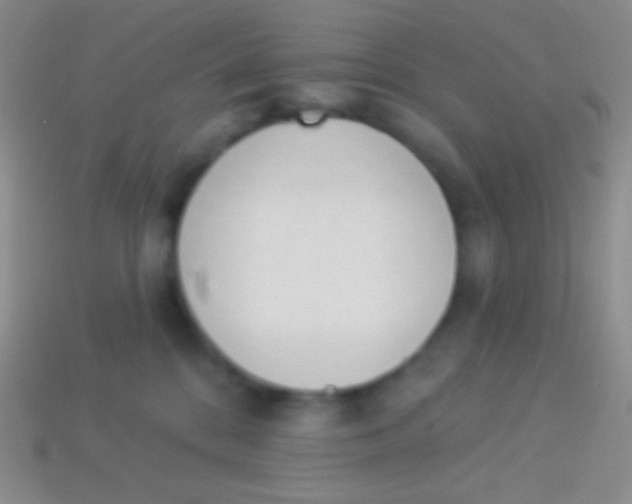 X0000114240328200910231529