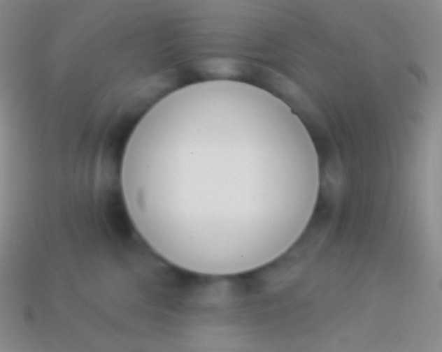 X0000114240330200910231529