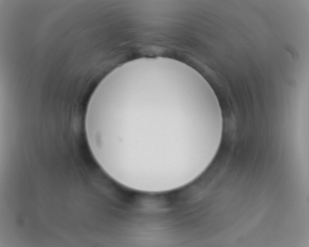 X0000114240331200910231529