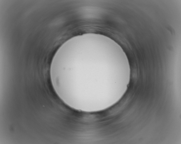 X0000114240332200910231529