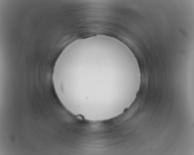 X0000114240333200910231529