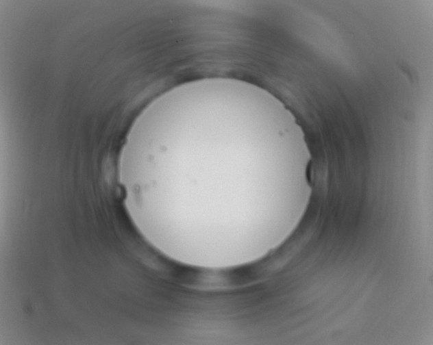 X0000114240335200910231529