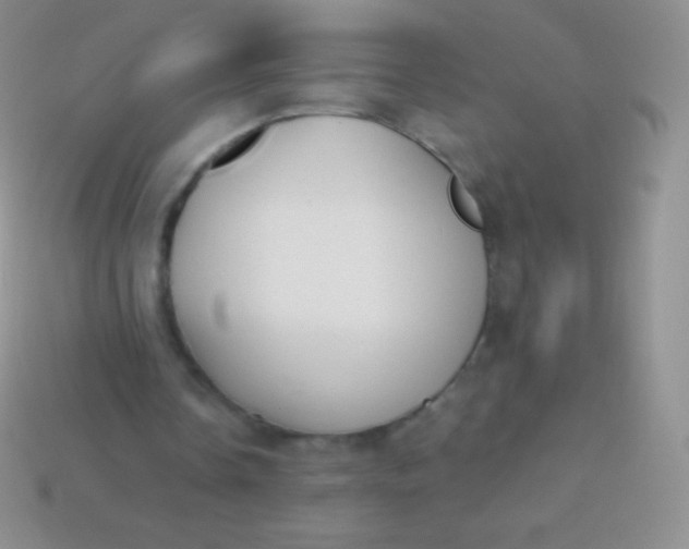 X0000114240338200910231528
