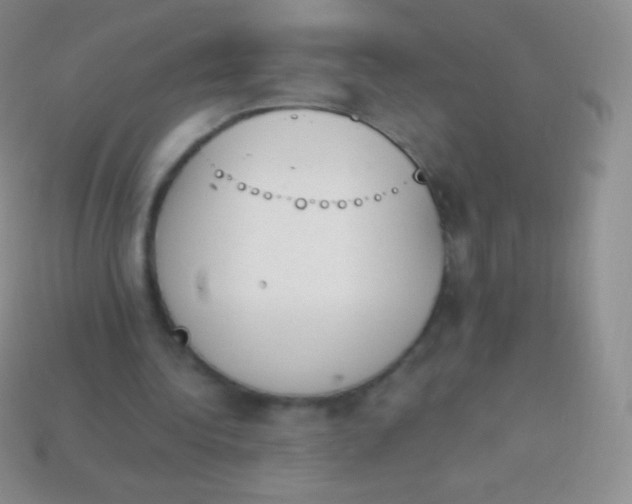 X0000114240340200910231528