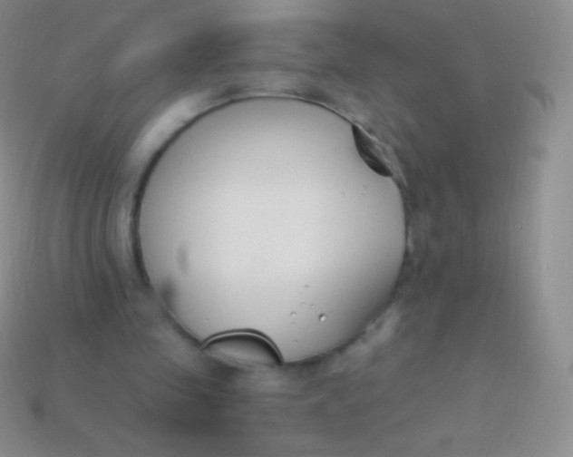 X0000114240341200910231528