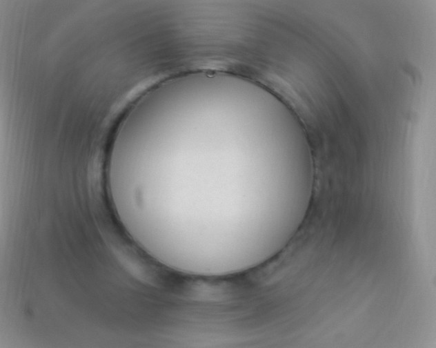 X0000114240346200910231529