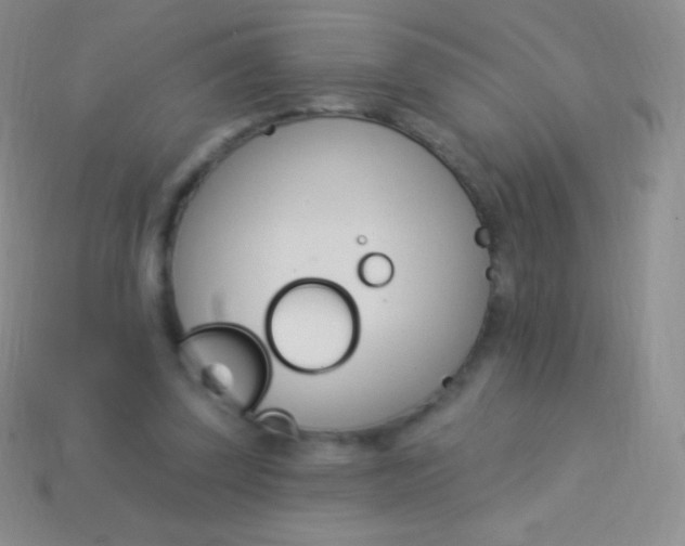 X0000114240347200910231529