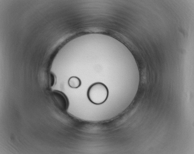 X0000114240351200910231529