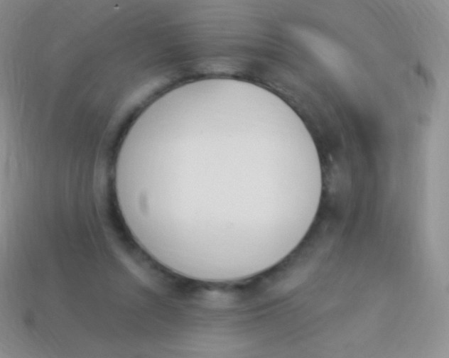 X0000114240352200910231529