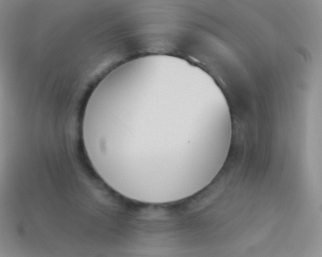 X0000114240354200910231529