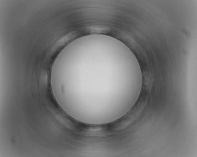 X0000114240357200910231529