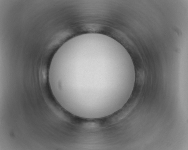 X0000114240358200910231529