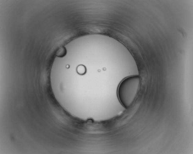 X0000114240359200910231529