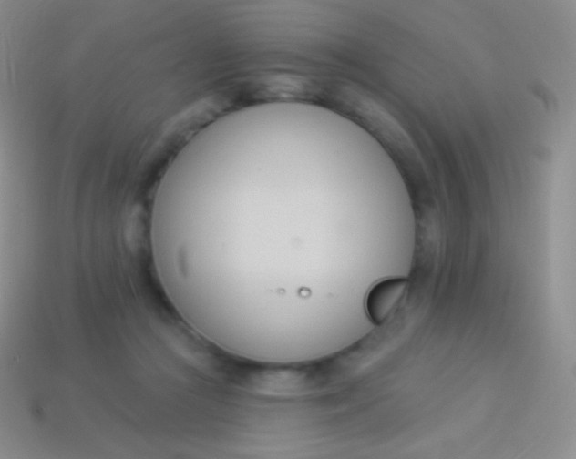 X0000114240361200910231529