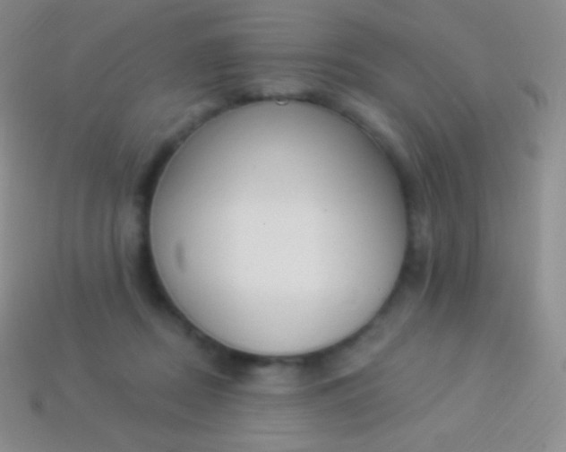 X0000114240362200910231529