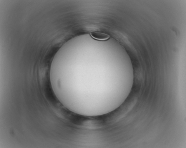 X0000114240364200910231529