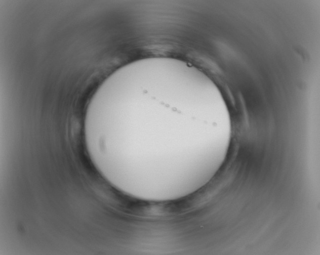 X0000114240365200910231529