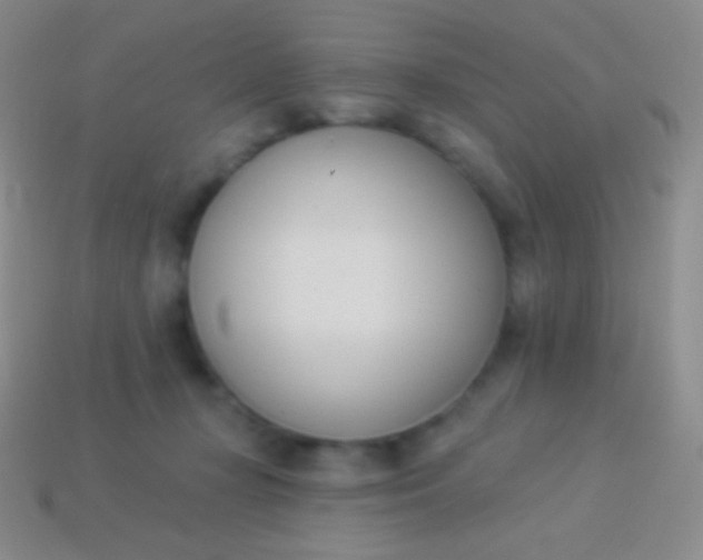 X0000114240367200910231529