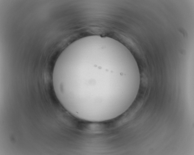 X0000114240371200910231529