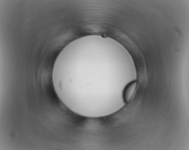 X0000114240376200910231529