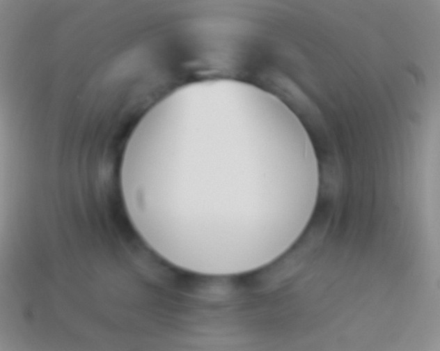 X0000114240377200910231529