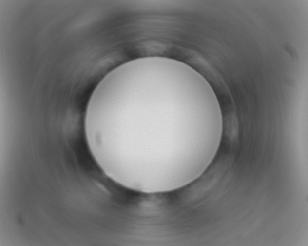 X0000114240378200910231529