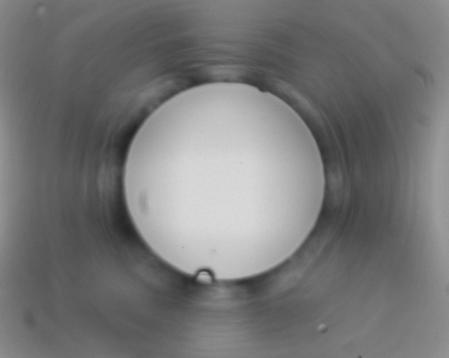 X0000114240379200910231529