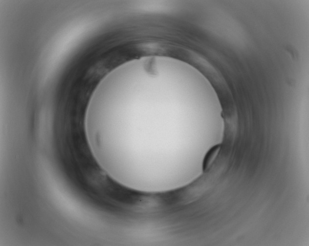 X0000114240381200910231529
