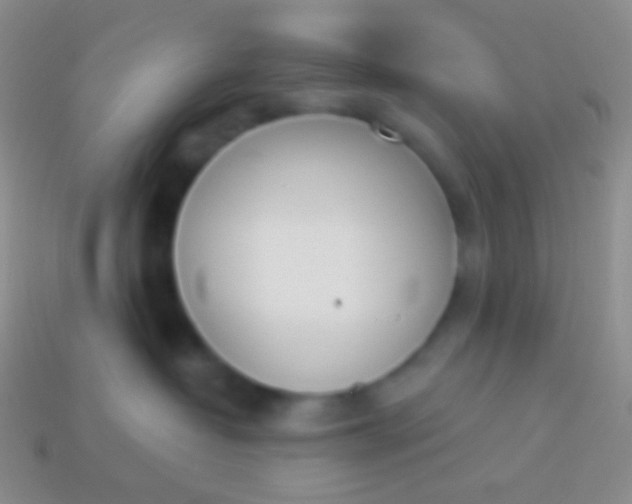 X0000114240382200910231529