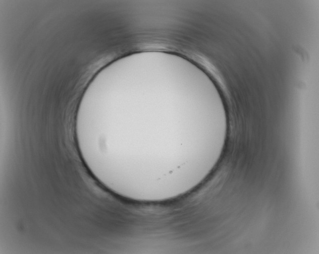 X0000114240385200910231528