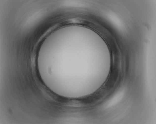 X0000114240387200910231528