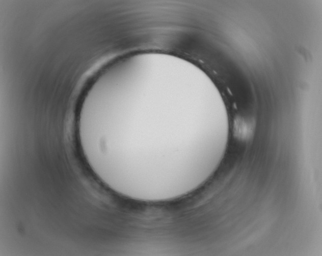 X0000114240388200910231528
