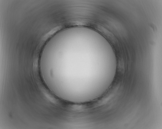 X0000114240394200910231528