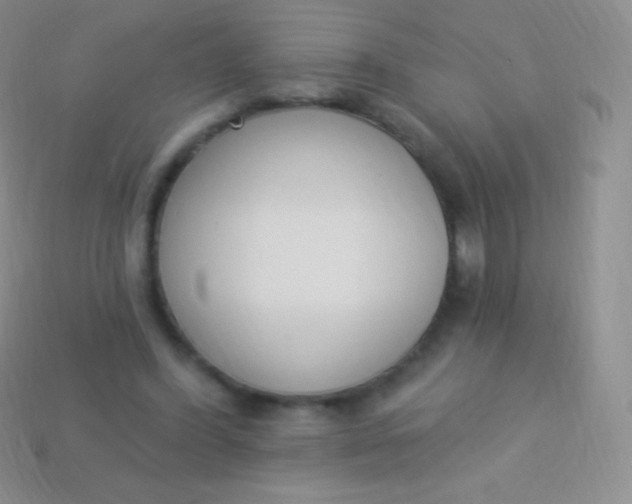 X0000114240396200910231528