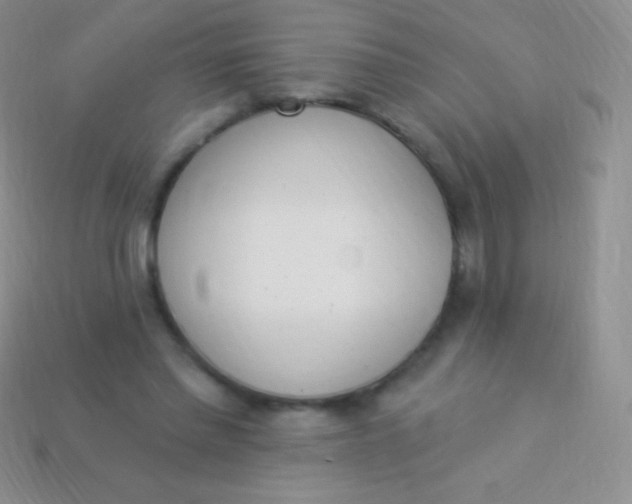 X0000114240397200910231528