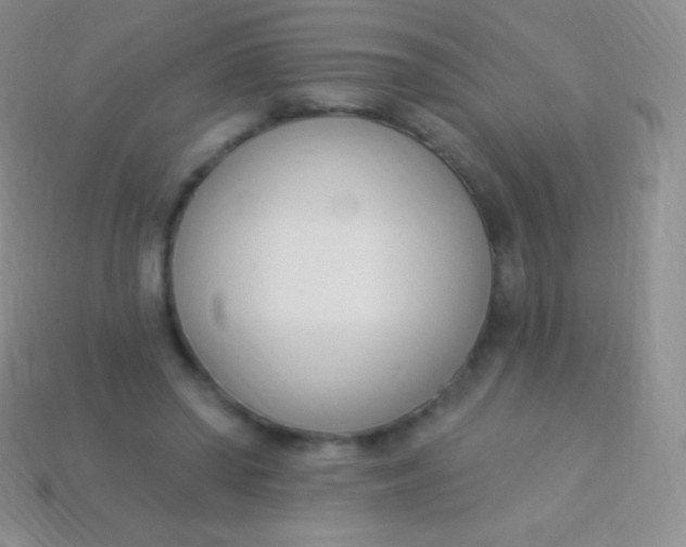 X0000114240398200910231528