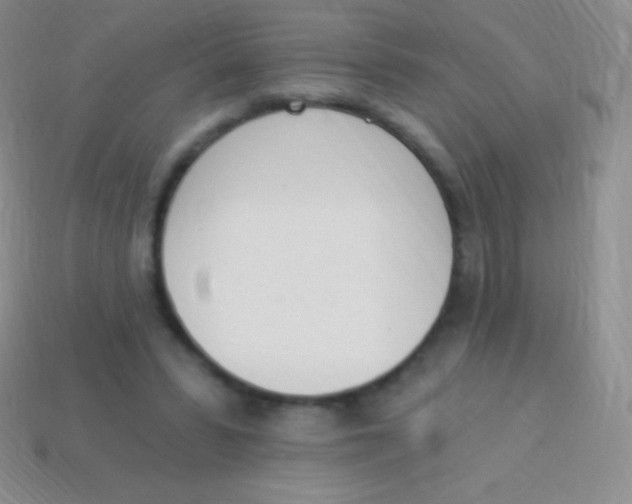 X0000114240399200910231528
