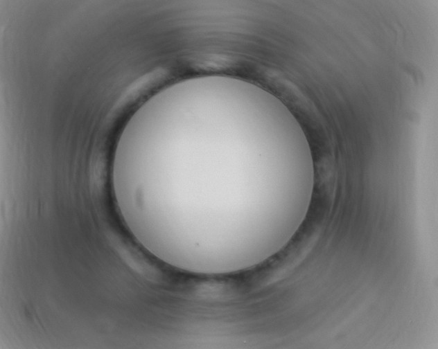 X0000114240400200910231528