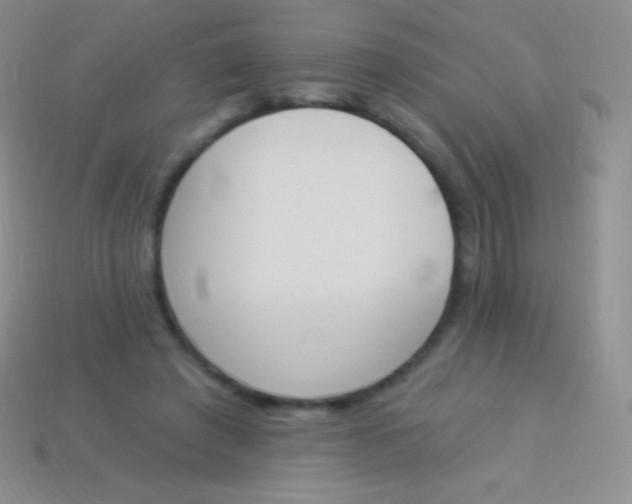 X0000114240401200910231528