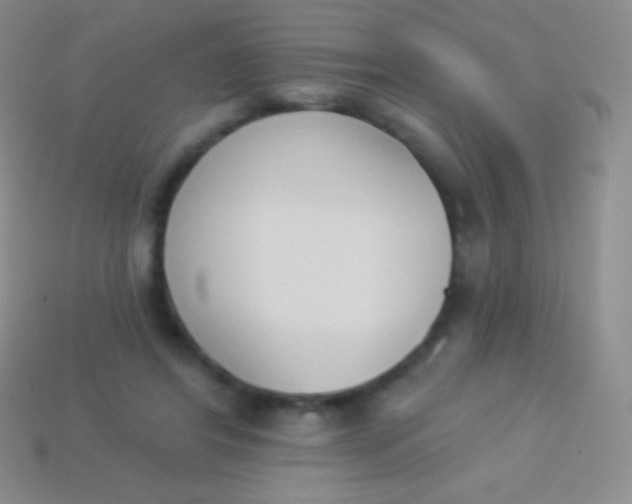 X0000114240404200910231528