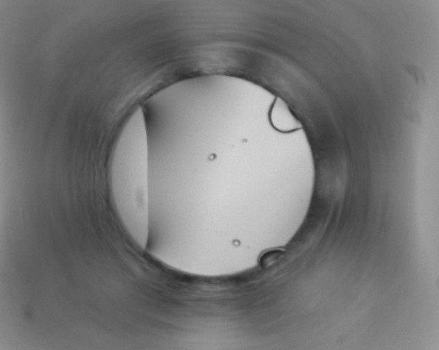 X0000114240405200910231528