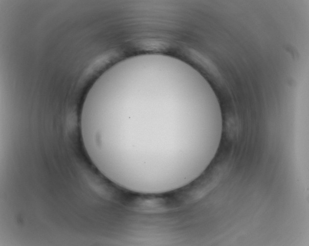 X0000114240407200910231528