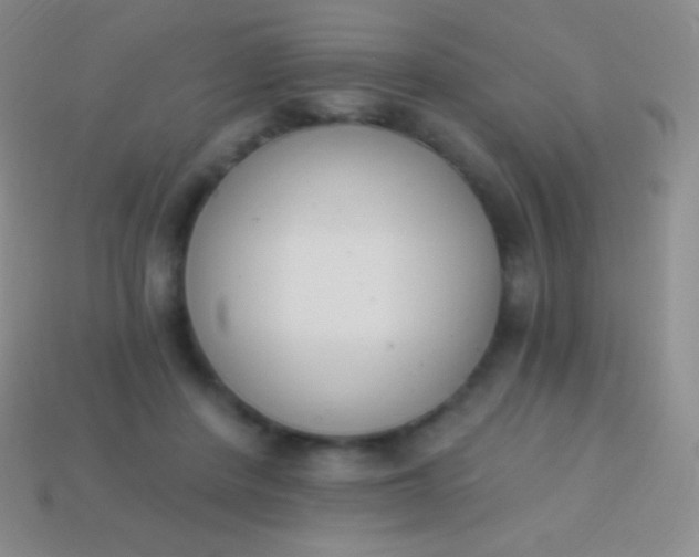 X0000114240408200910231528