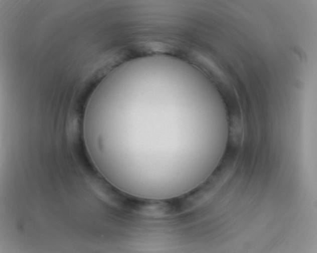 X0000114240410200910231528