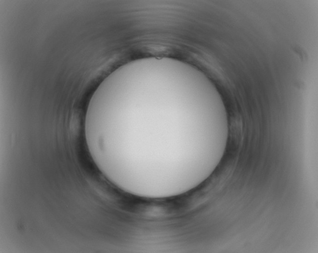 X0000114240412200910231528