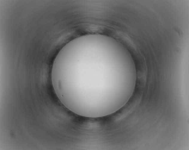X0000114240416200910231528