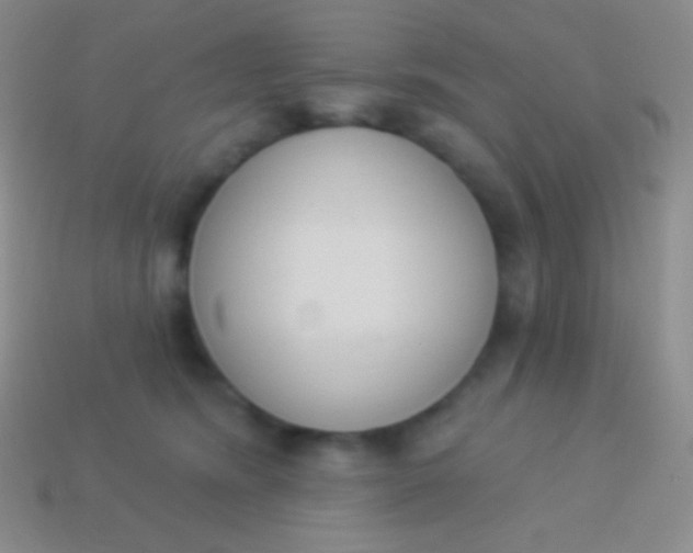 X0000114240420200910231528
