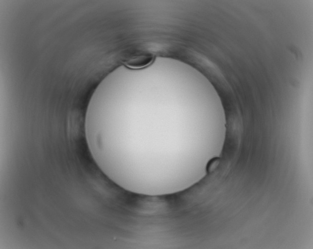 X0000114240421200910231528