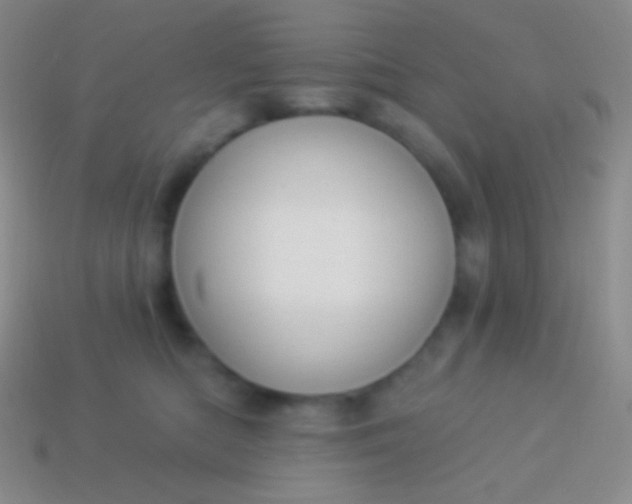 X0000114240422200910231528